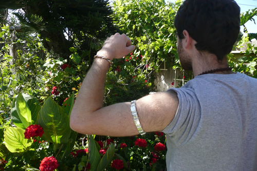 Standard Bangle