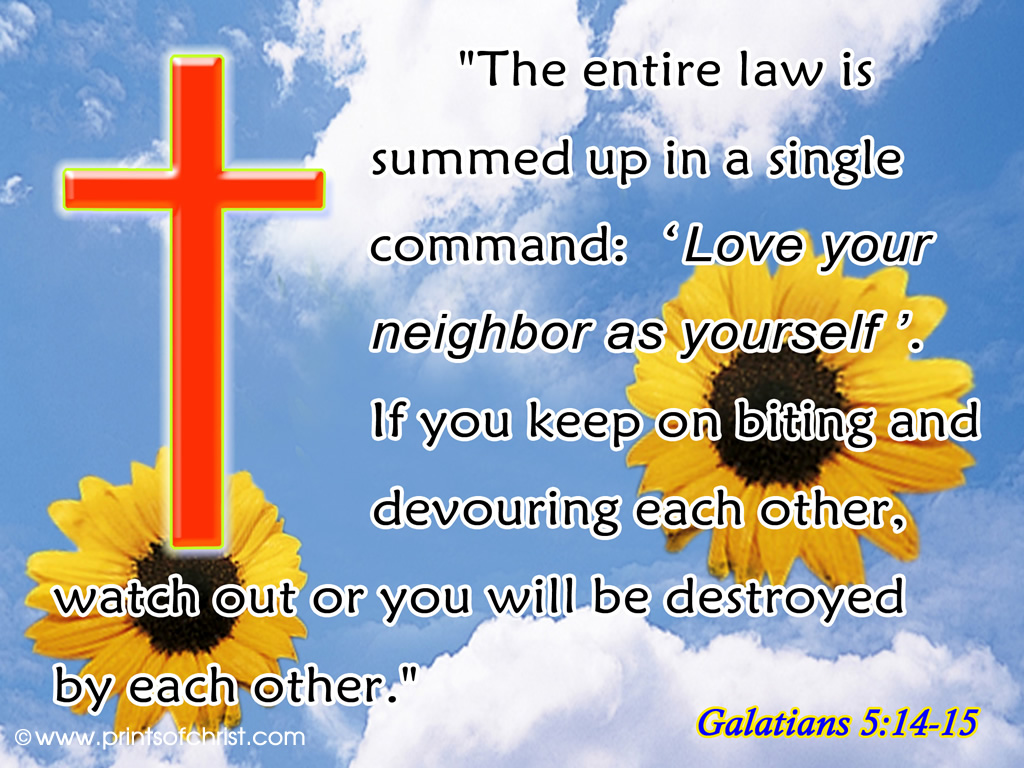 Galatians 5:14 Background