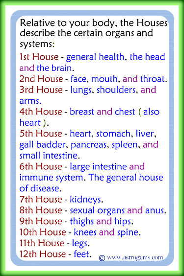 Vedic astrological description of how the 12 houses relate to bodily organs and systems.