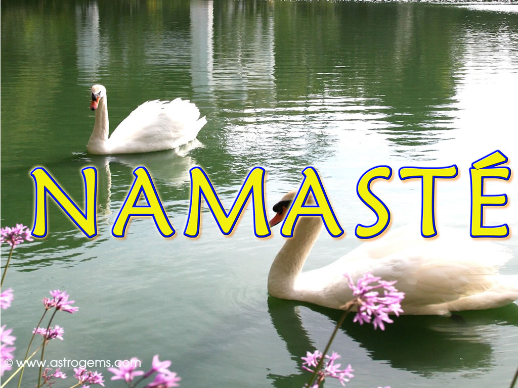 namaste Image