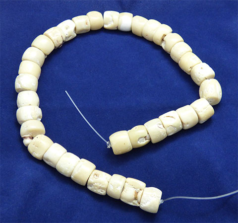 astrological ayurvedic raw white coral necklace