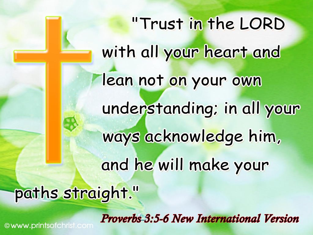 Trust in the lord picture