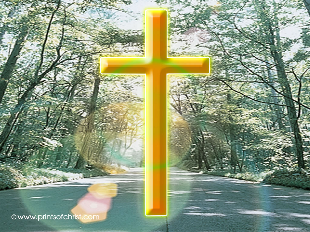 cross in trees