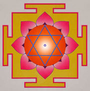 free om picture