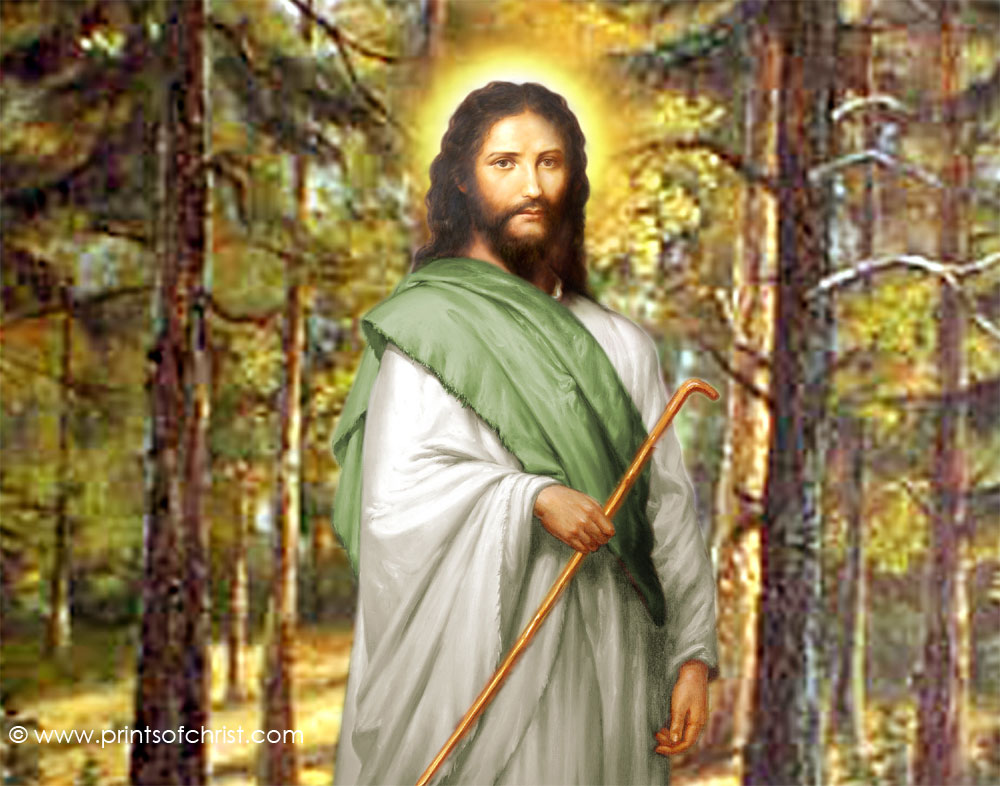Christ Image in Woods
