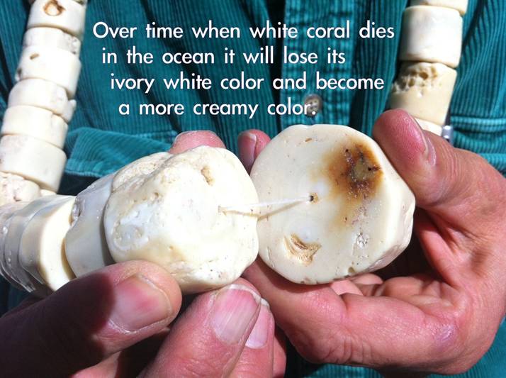 White Coral Color Change with Death